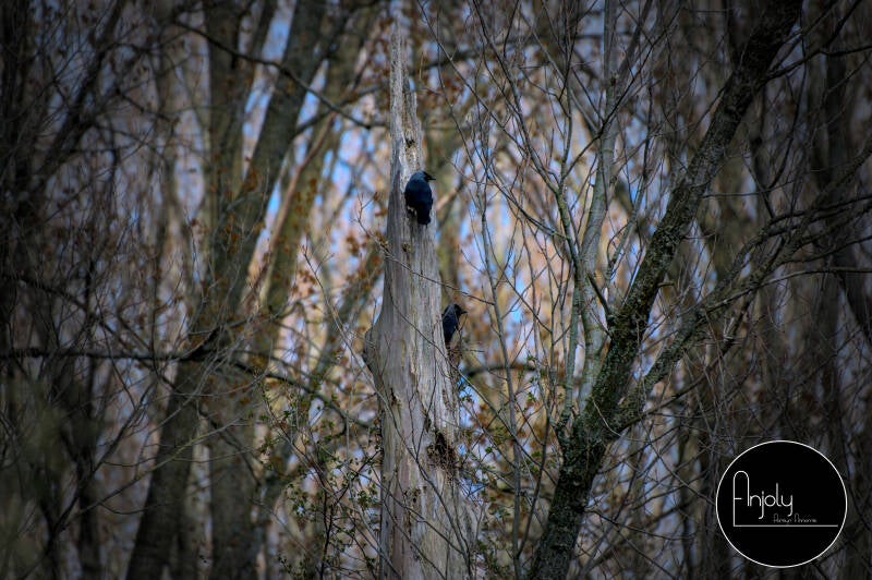 dsc_0139_01.jpg