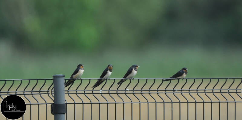 dsc_0184_02-standard.jpg