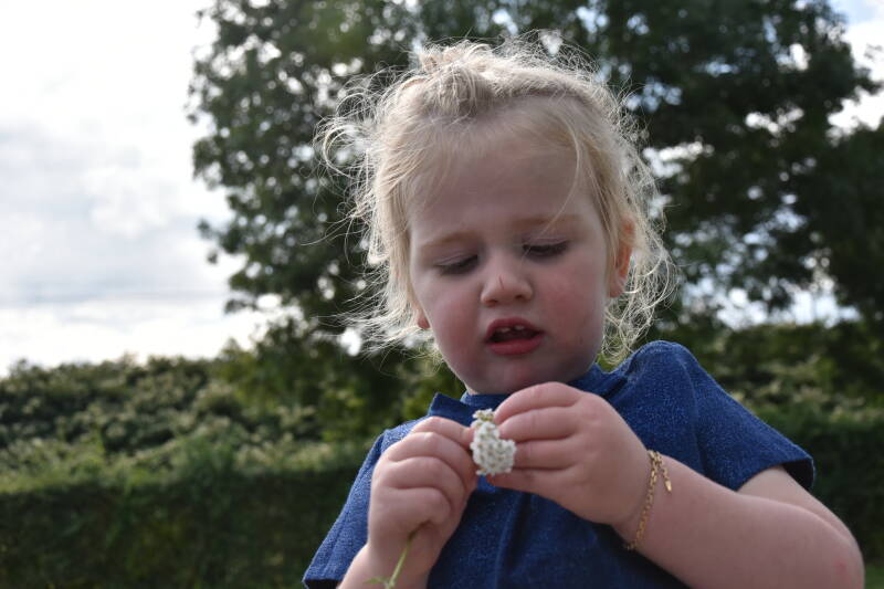 Fotografie Anjoly Diksmuide fotoshoot communie lentefeest gezin fotografie firefotografie brandweerfotografie huwelijk weddingfotografie