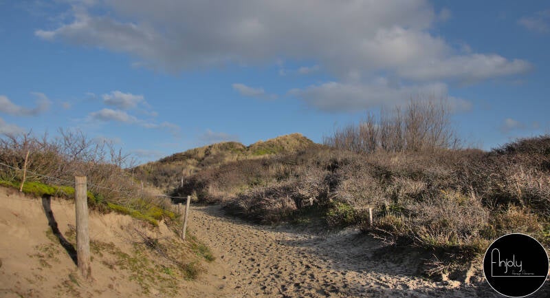 dsc_8014.jpg