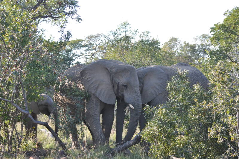 Fotografie Persyn Annemie Annemieke Covemaeker Maikel Diksmuide Beerst België fotoshoot boeking online evenementen 