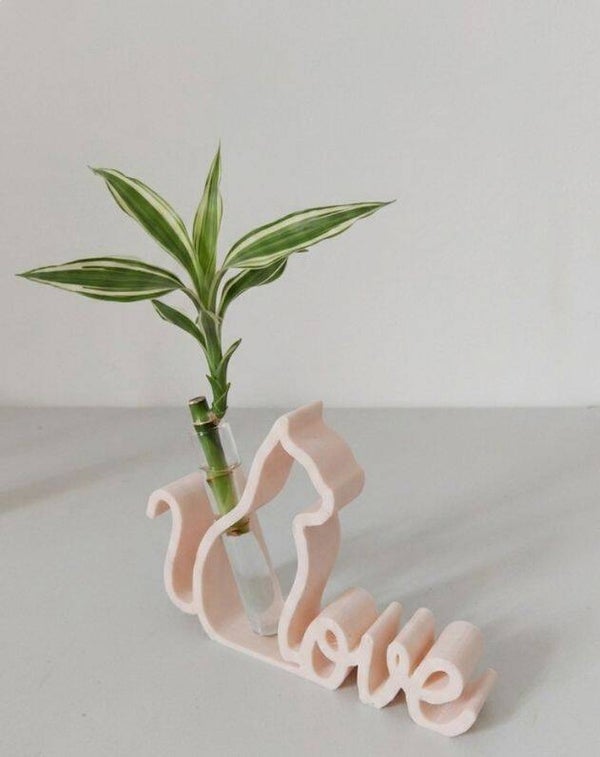 Vase de propagation design