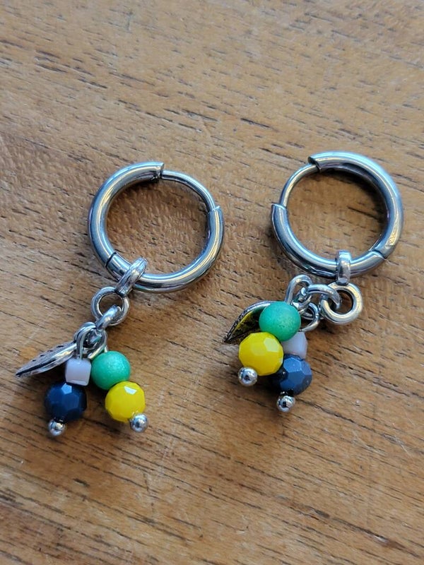 RVS zilver
