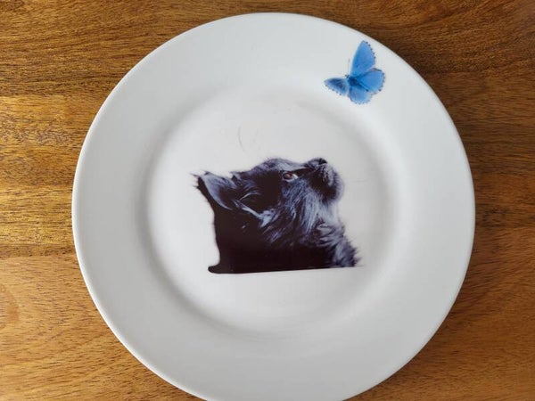 Wandbordje poes met vlinder 18cm