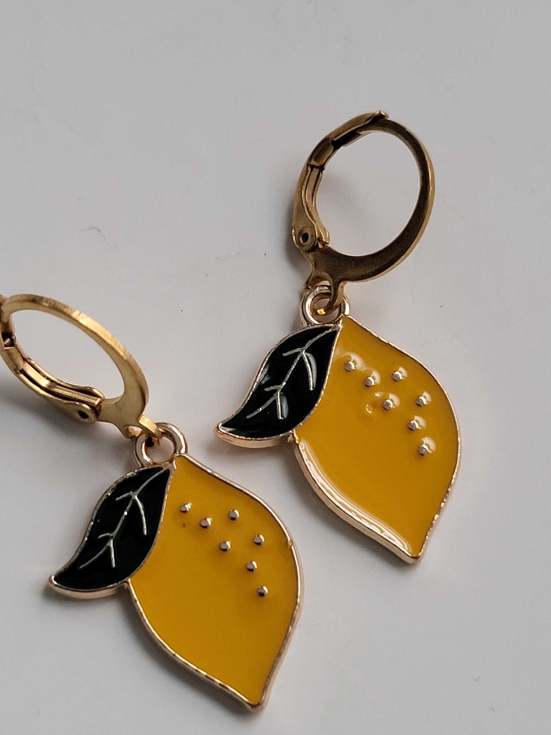 Oorbellen hanger met rvs haakje