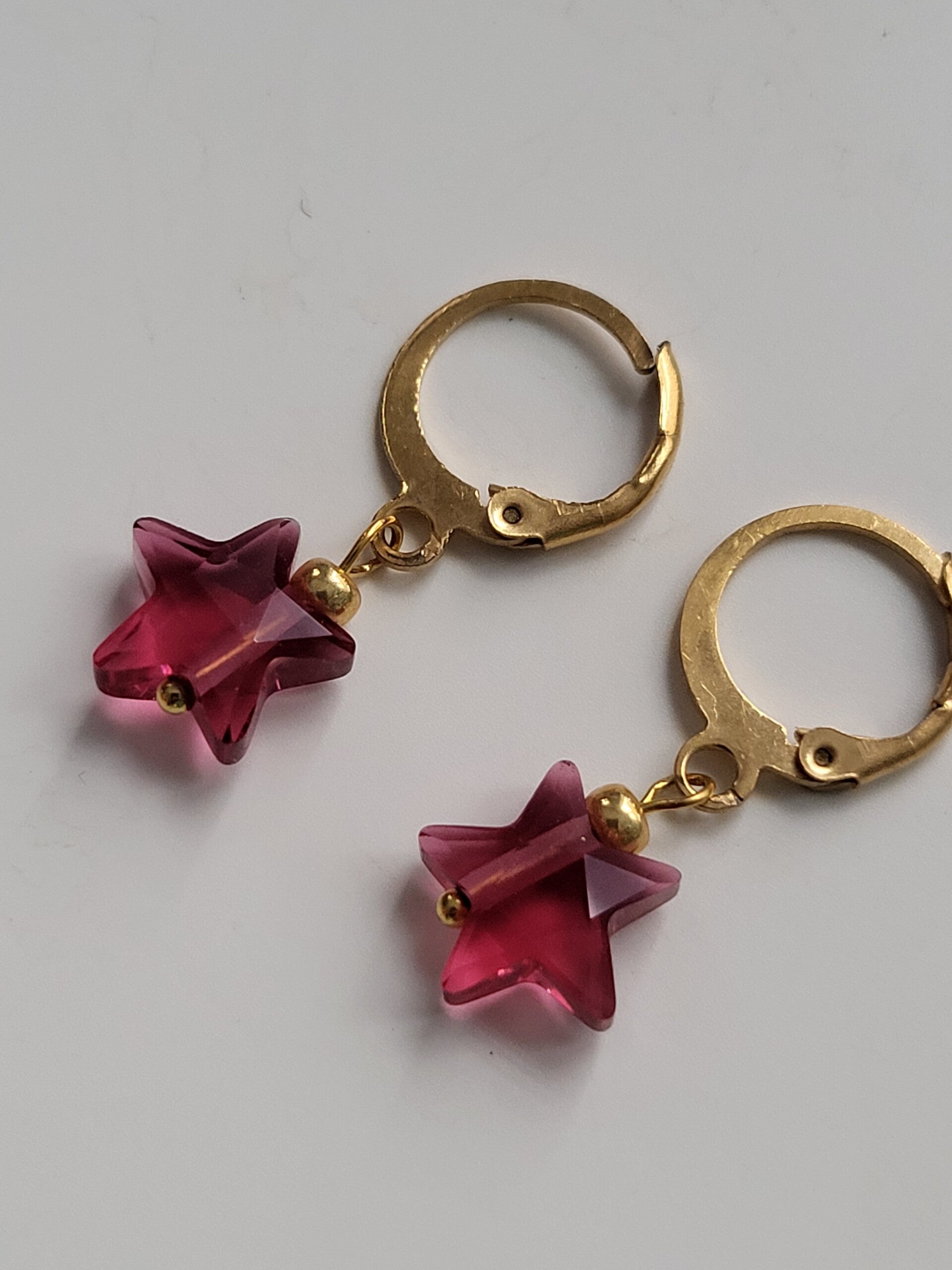 Oorbellen hanger met rvs haakje