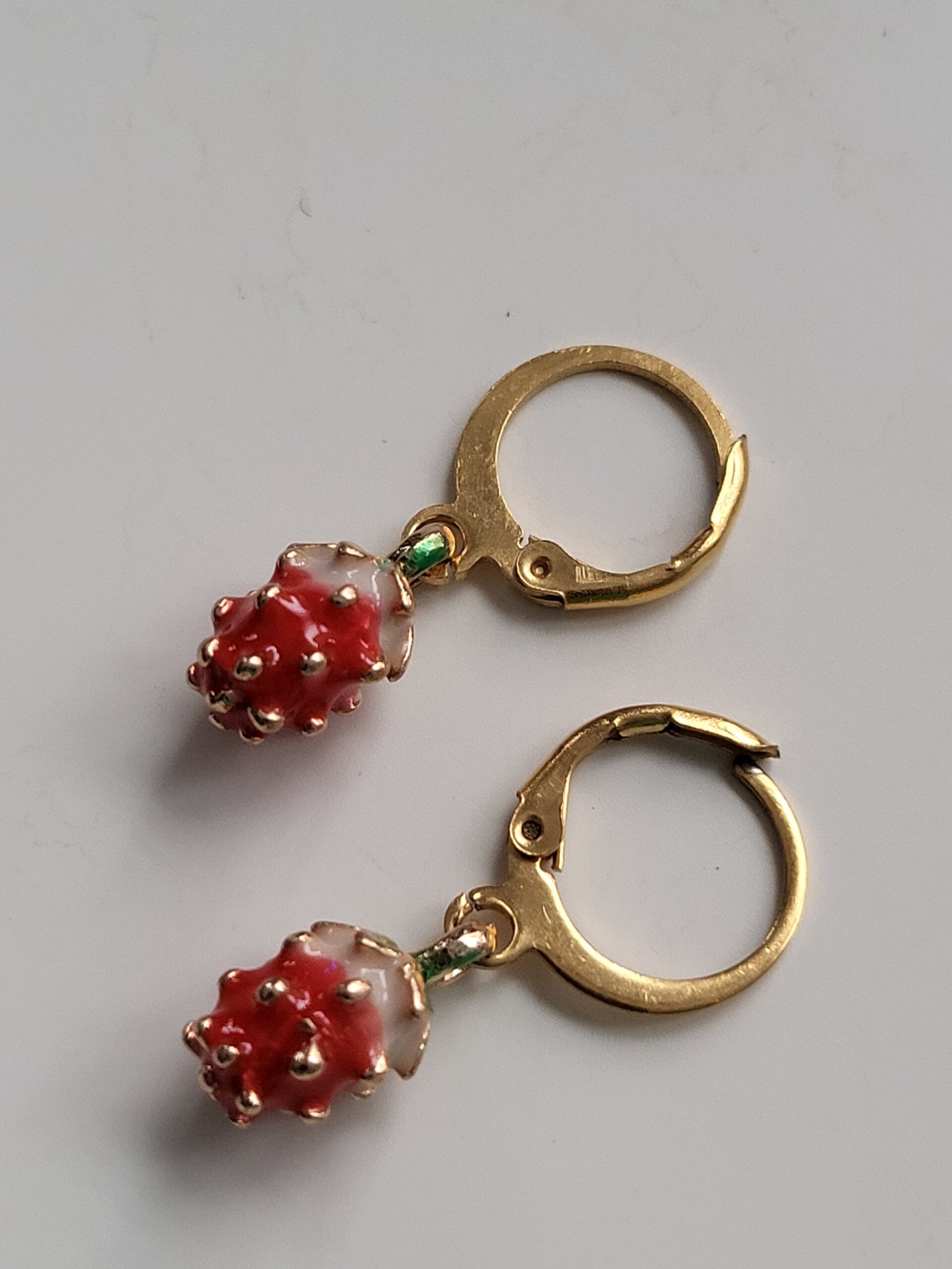 Oorbellen hanger met rvs haakje