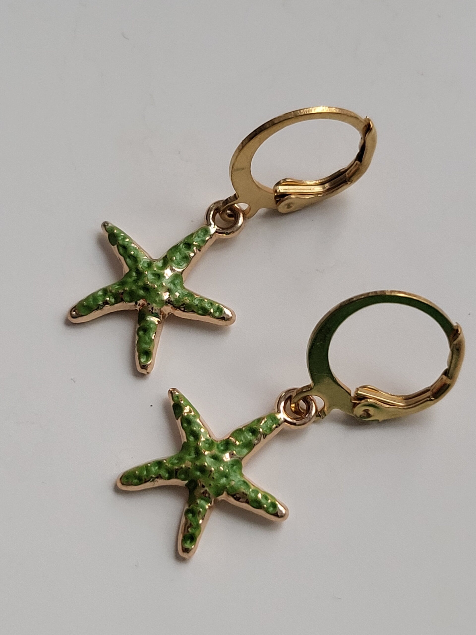 Oorbellen hanger met rvs haakje