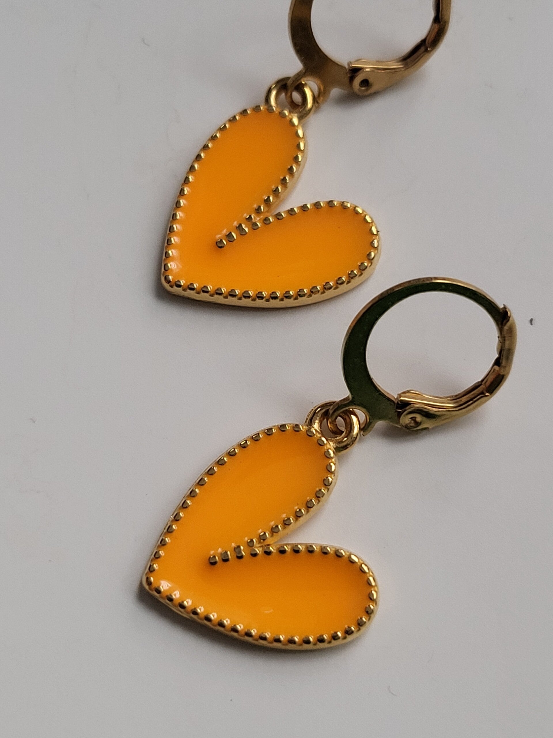 Oorbellen hanger met rvs haakje