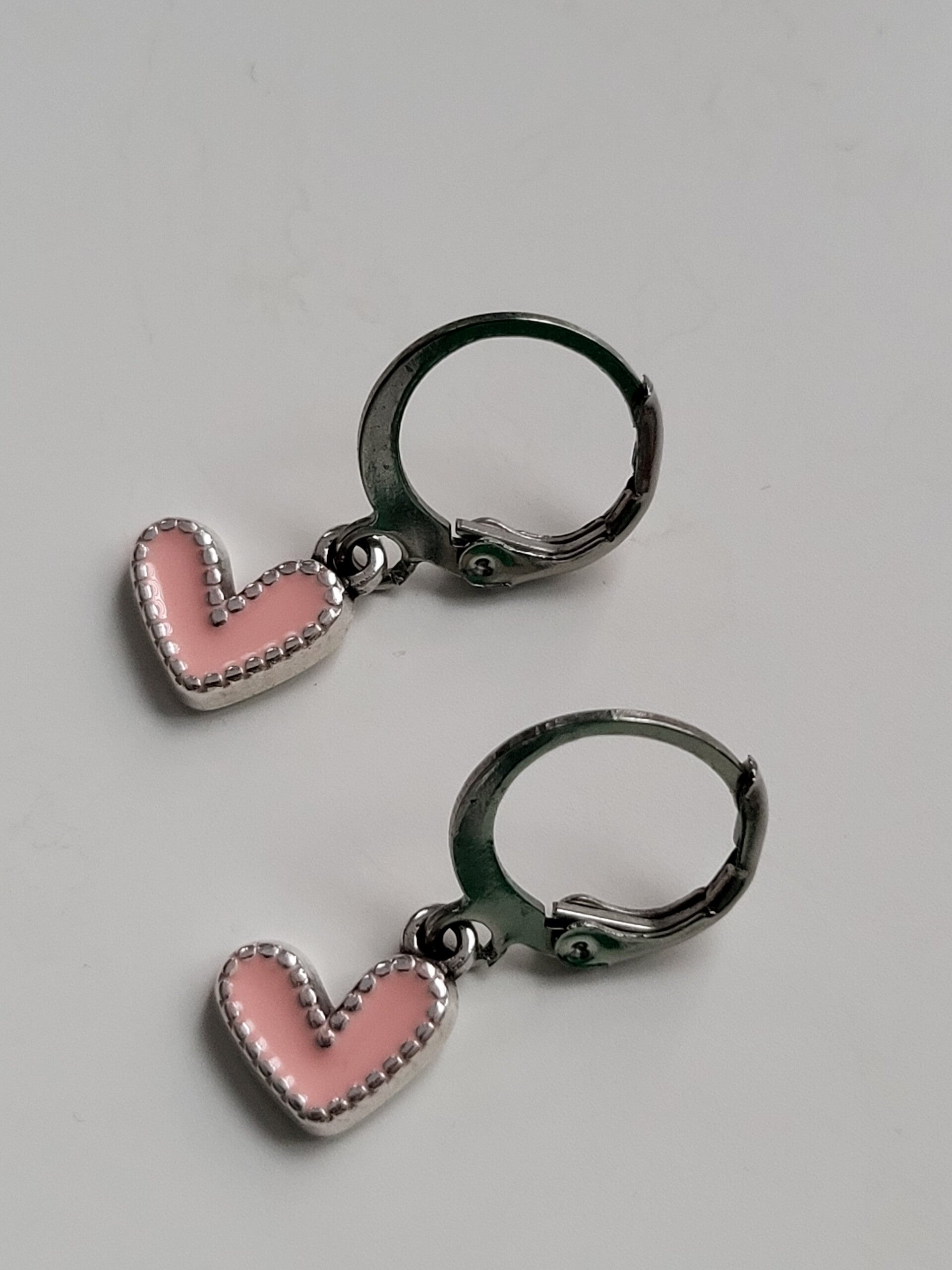 Oorbellen hanger met rvs haakje