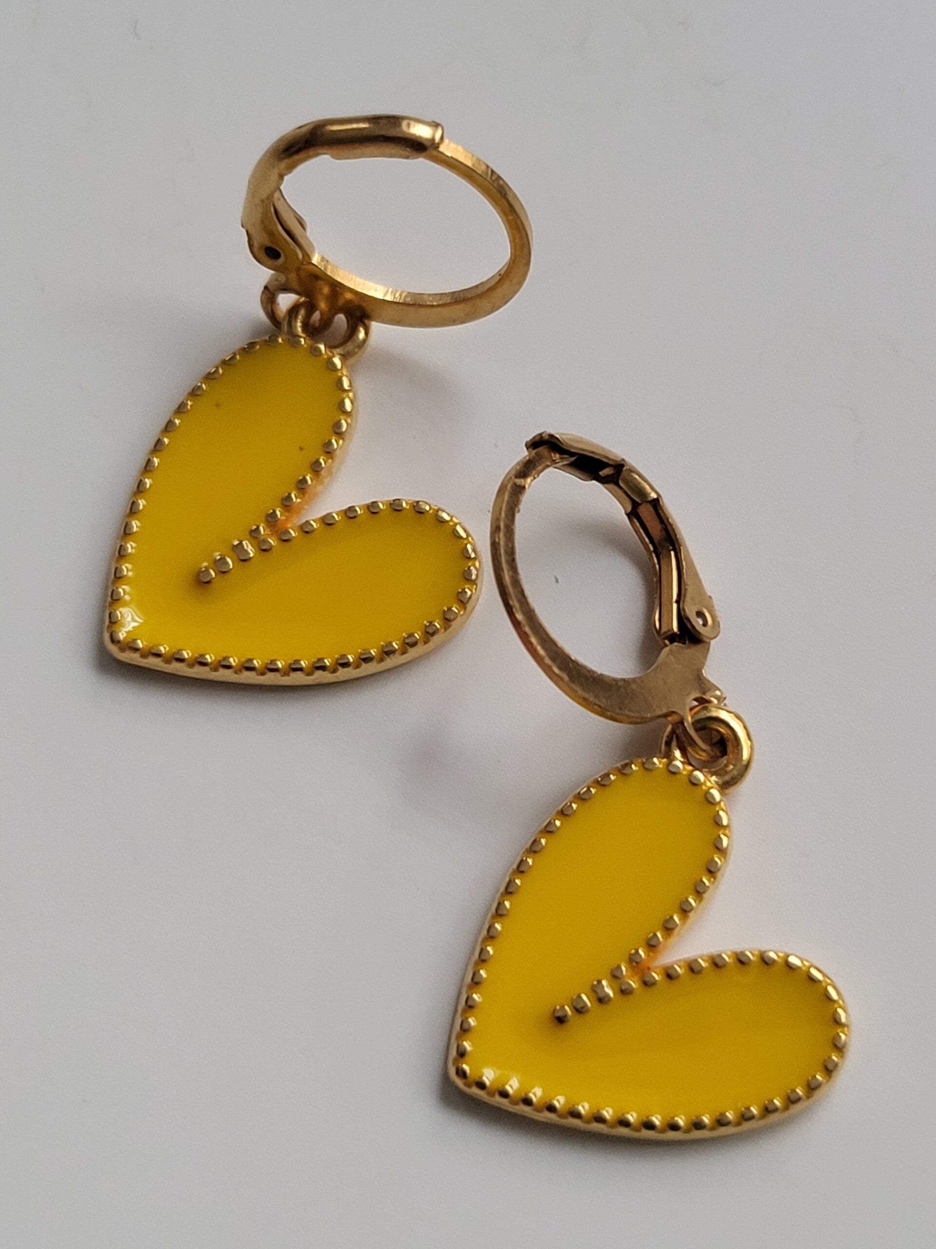 Oorbellen hanger met rvs haakje