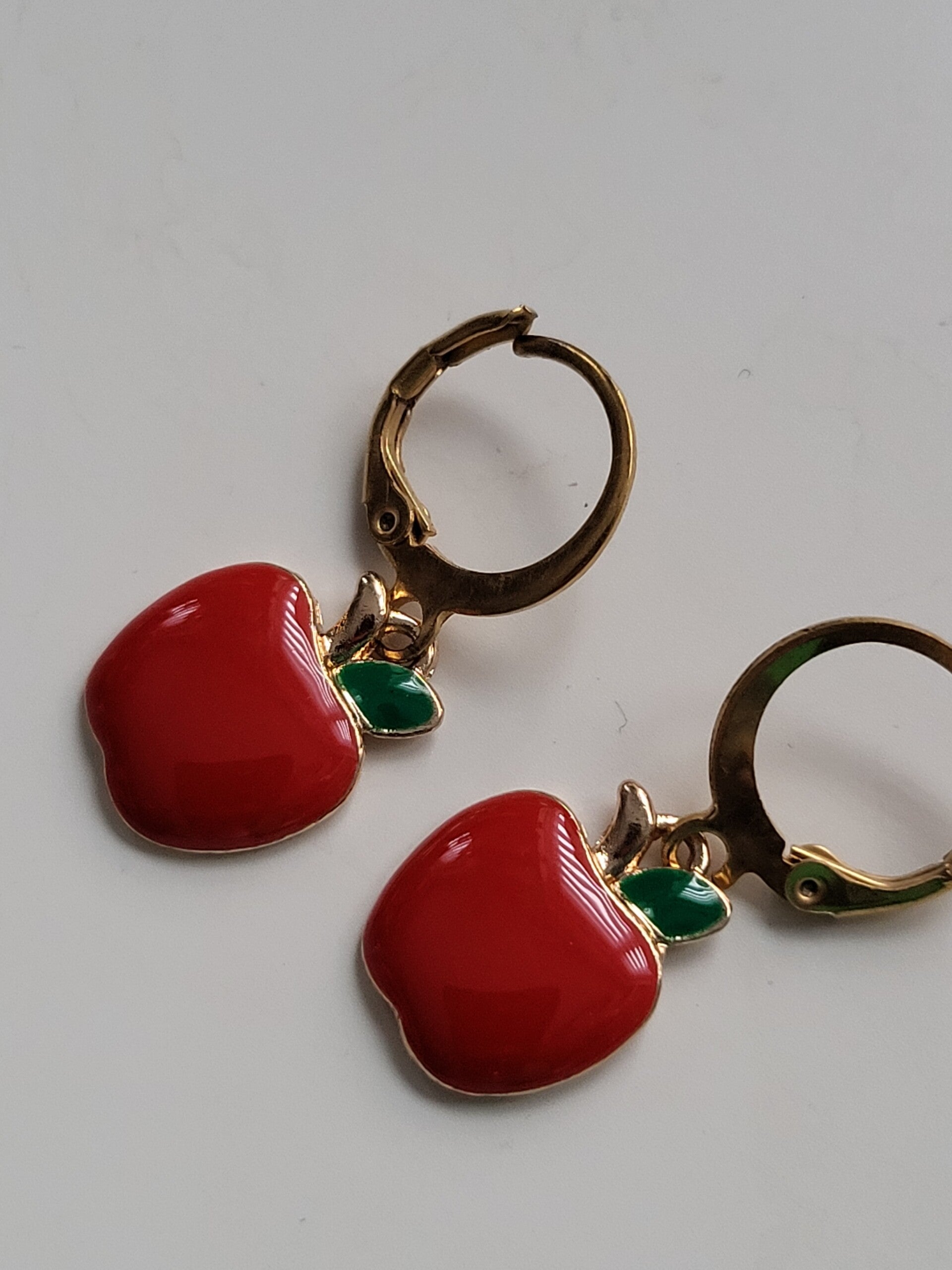 Oorbellen hanger met rvs haakje