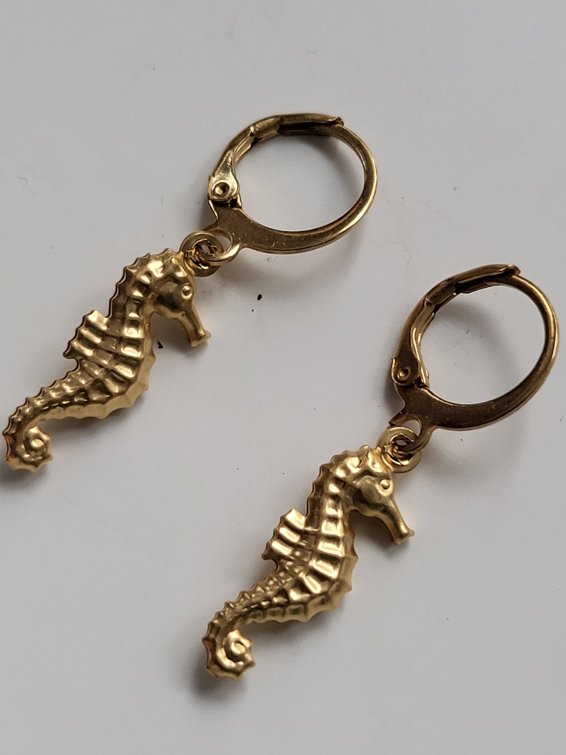 Oorbellen hanger met rvs haakje