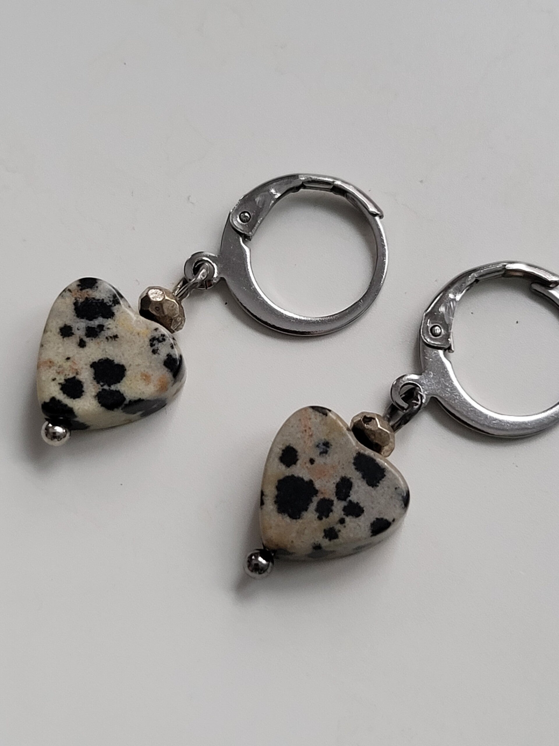 Oorbellen hanger met rvs haakje