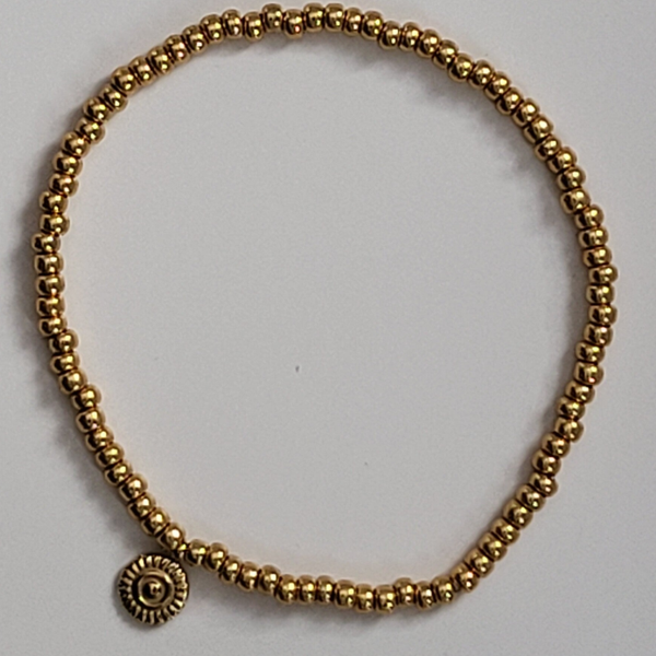 Miyuki met bedel rvs