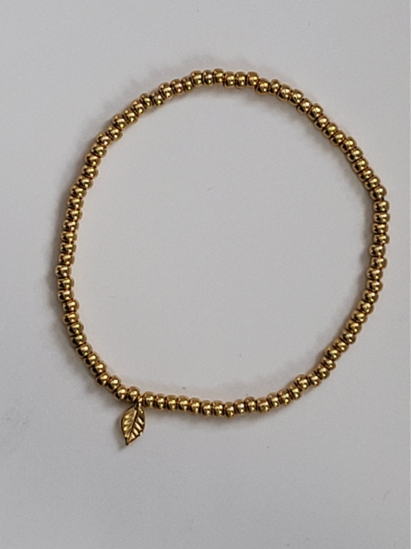 Miyuki met bedel rvs