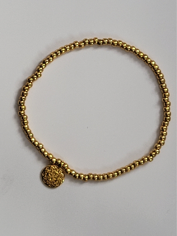 Miyuki met bedel rvs