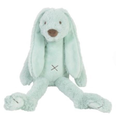 Rabbit richie lagoon inclusief naam/geboortedatum