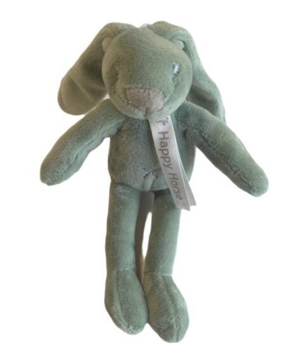 Mini Richie 19cm groen met naam