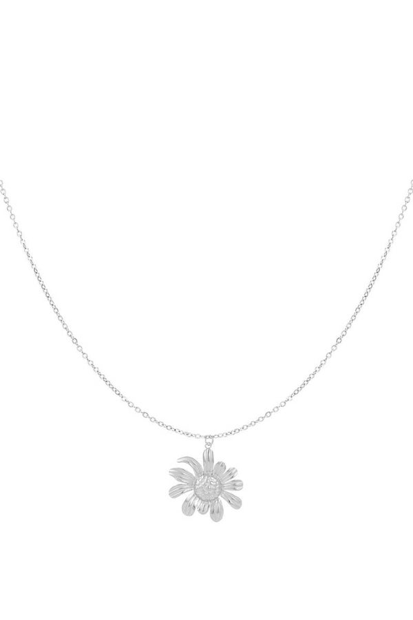 Zara Ketting