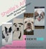 Shellie's Personalized Art