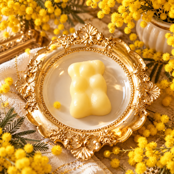 Fondant Nounours   Mimosa