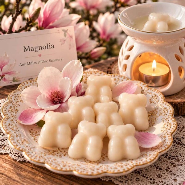 Fondant Nounours   Magnolia