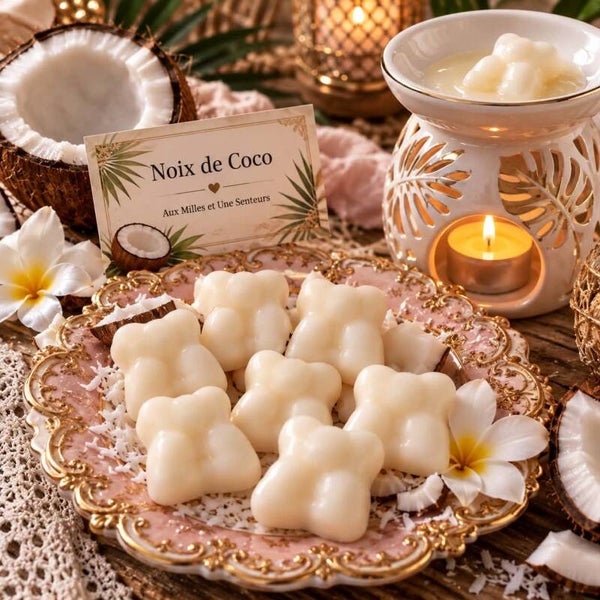 Fondant Nounours   Noix de Coco
