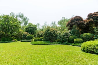 istockphoto-1347784849-612x612-standard-sm960w.jpg