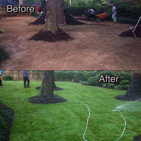 sod-before-after-2_535x-standard.jpg