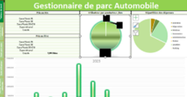 Gestionnaire de parc automobile