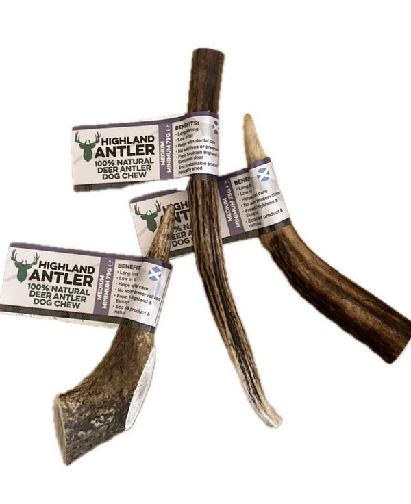 Antler