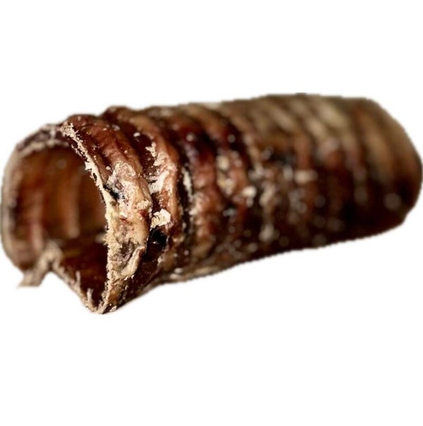 Beef Trachea 12cm