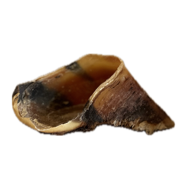 Cow Hooves