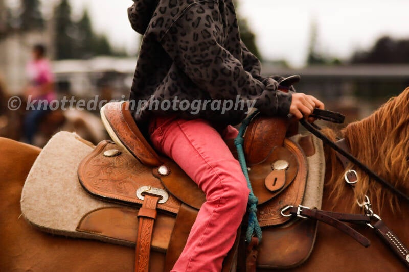 img_7956-standard.jpg