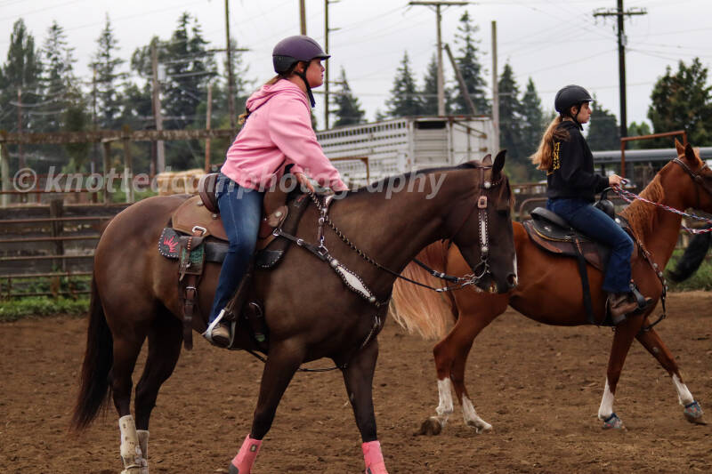 img_7958-standard.jpg