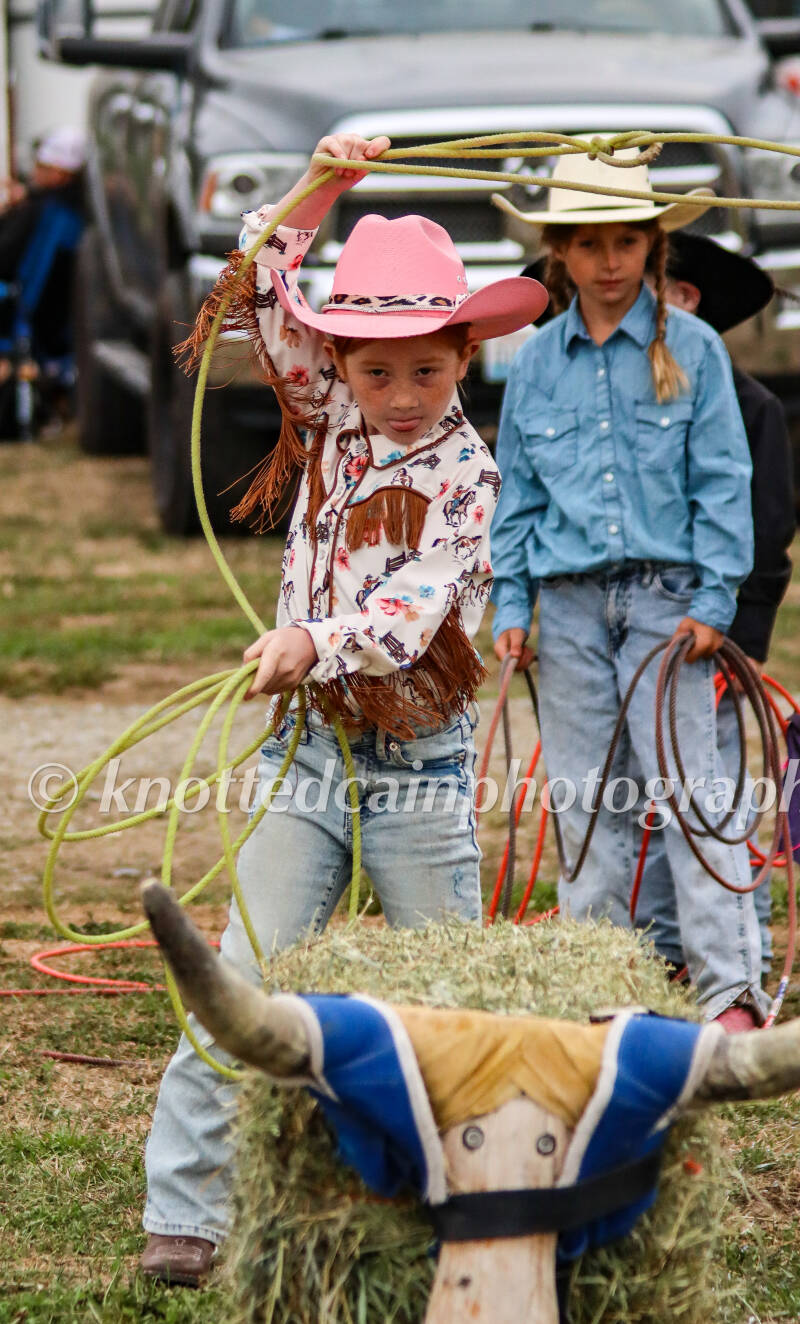 img_9284-standard.jpg