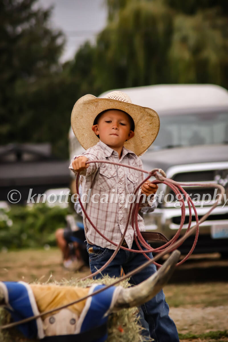 img_9286-standard.jpg
