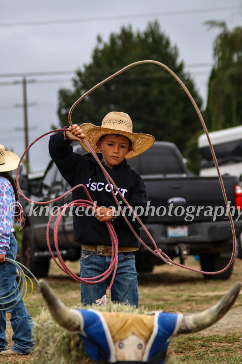 img_9292-standard.jpg