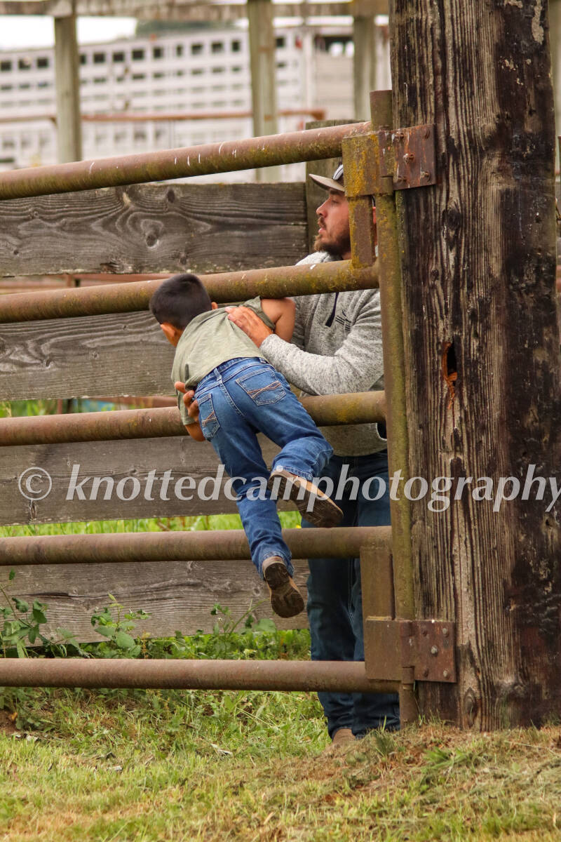 img_9374-standard.jpg