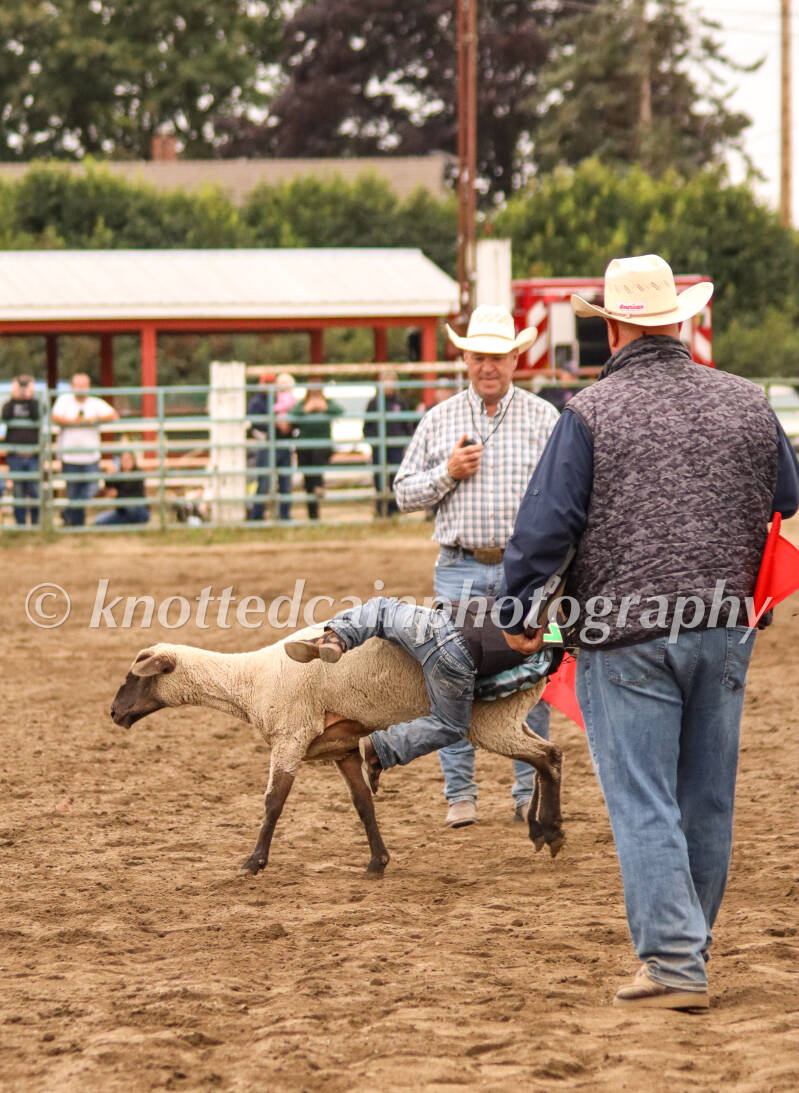 img_9377-standard.jpg
