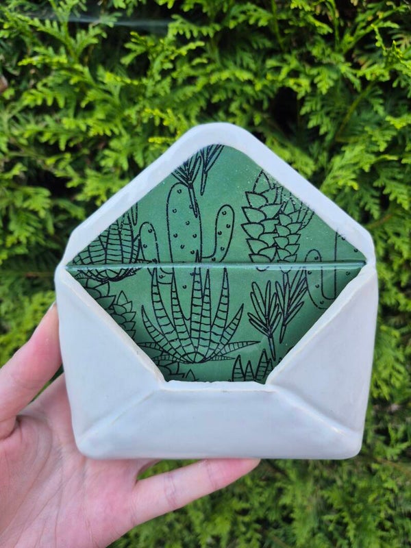 Envelop cactus