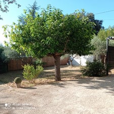 1750846218864-standard.jpg