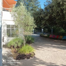 1750846632870-standard.jpg