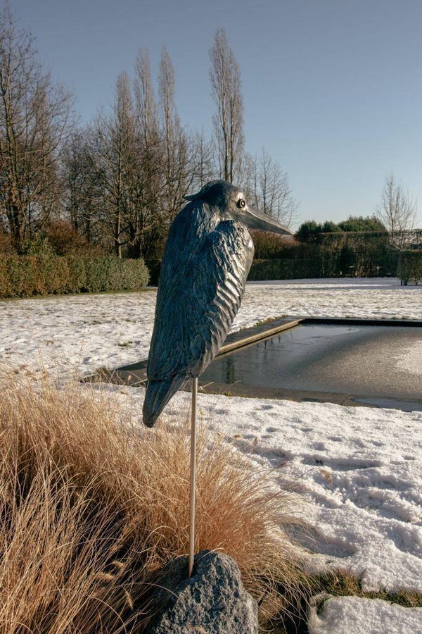 Reiger