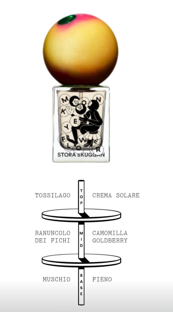 Stora Skuggan monkey flower