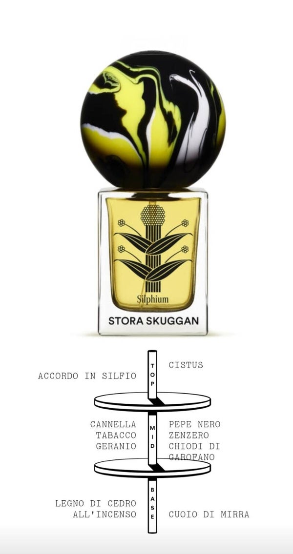 Stora Skuggan silphium