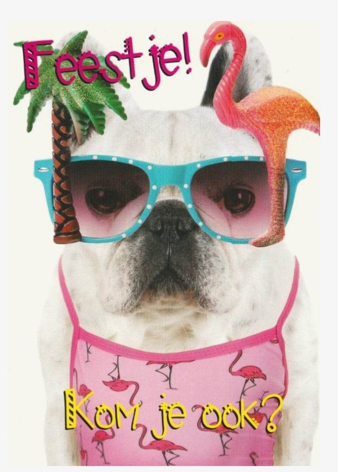 Uitnodiging Kinderfeestje – Bulldog in zomerse outfit (set van 6 kaarten)