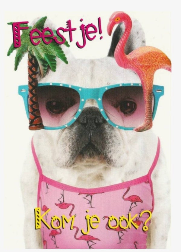 Uitnodiging Kinderfeestje – Bulldog in zomerse outfit (set van 6 kaarten)