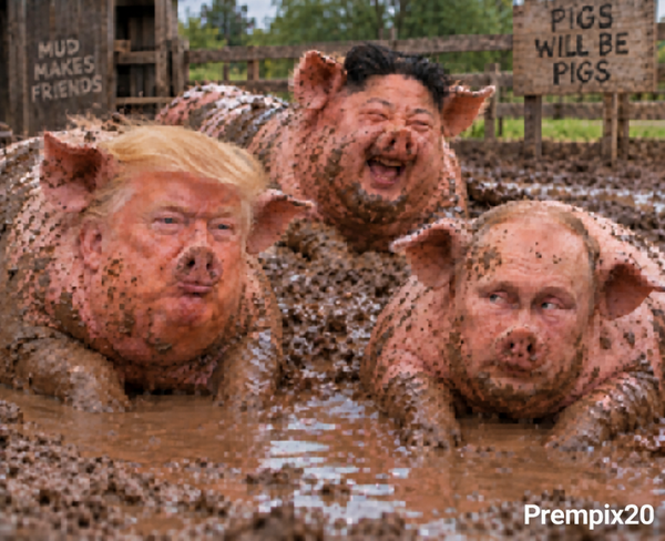 3 Little Piggies
